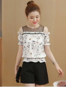 blouse import T3962