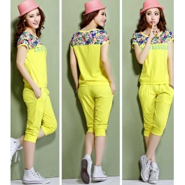 setelan import T2629