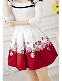 rok korea T2820