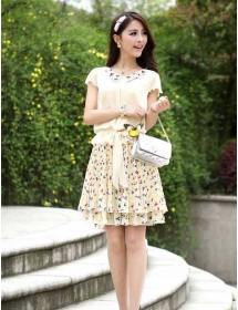 dress chiffon D2954