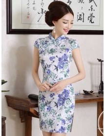 dress cheongsam D3653