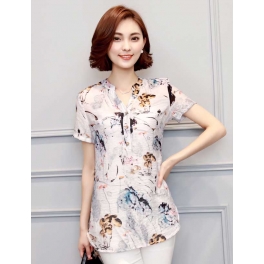 blouse import T3580