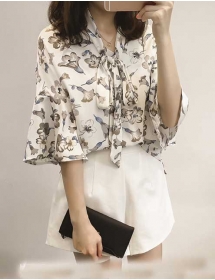 blouse import T3706