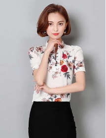 blouse import T3714