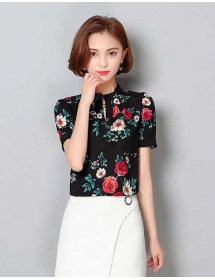 blouse import T3716