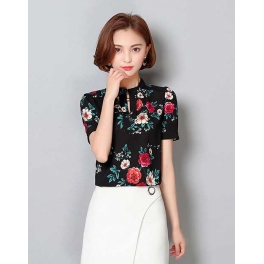 blouse import T3716